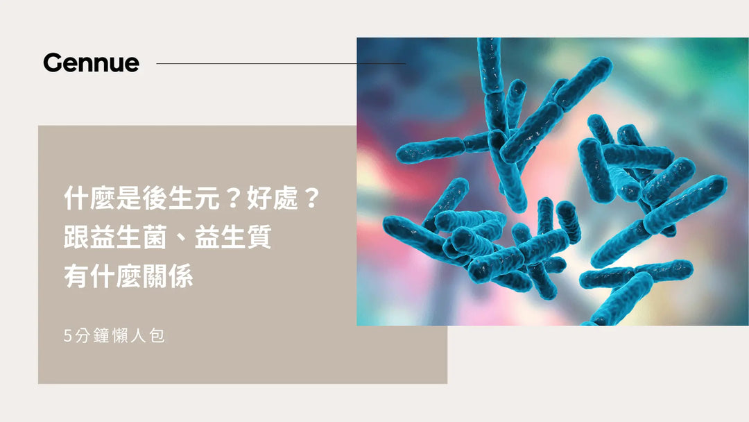 【5分鐘懶人包】什麼是後生元？好處？跟益生菌、益生質有什麼關係