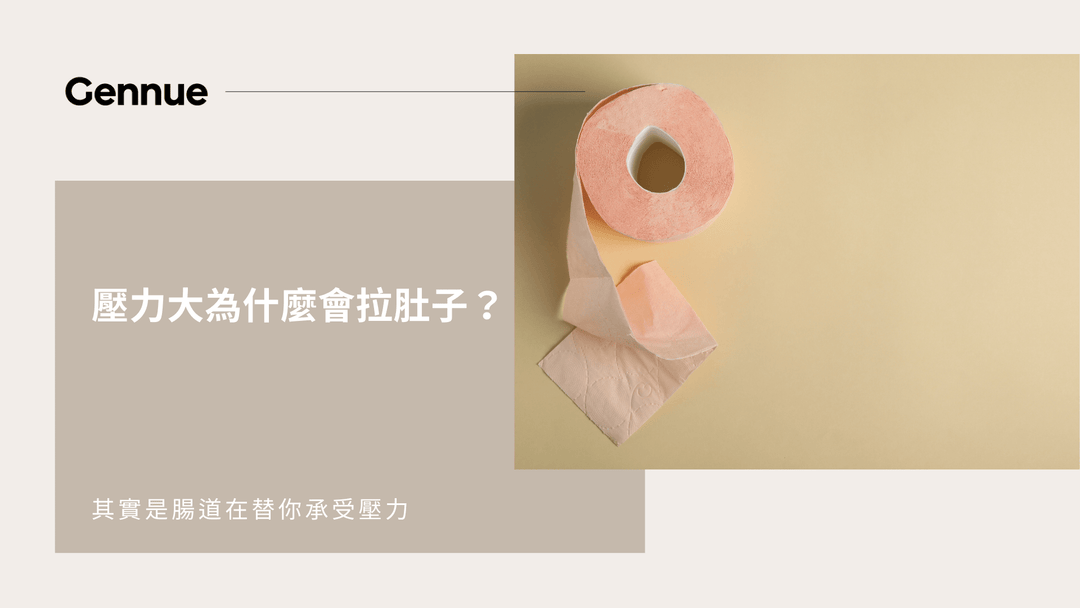 壓力大為什麼會拉肚子？其實是腸道在替你承受壓力