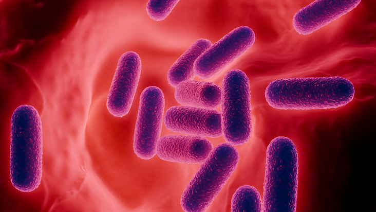 你身體的微生物從何而來？