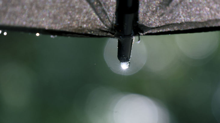 腸道如何影響免疫力？從菌叢生態到日常養護的完整解析